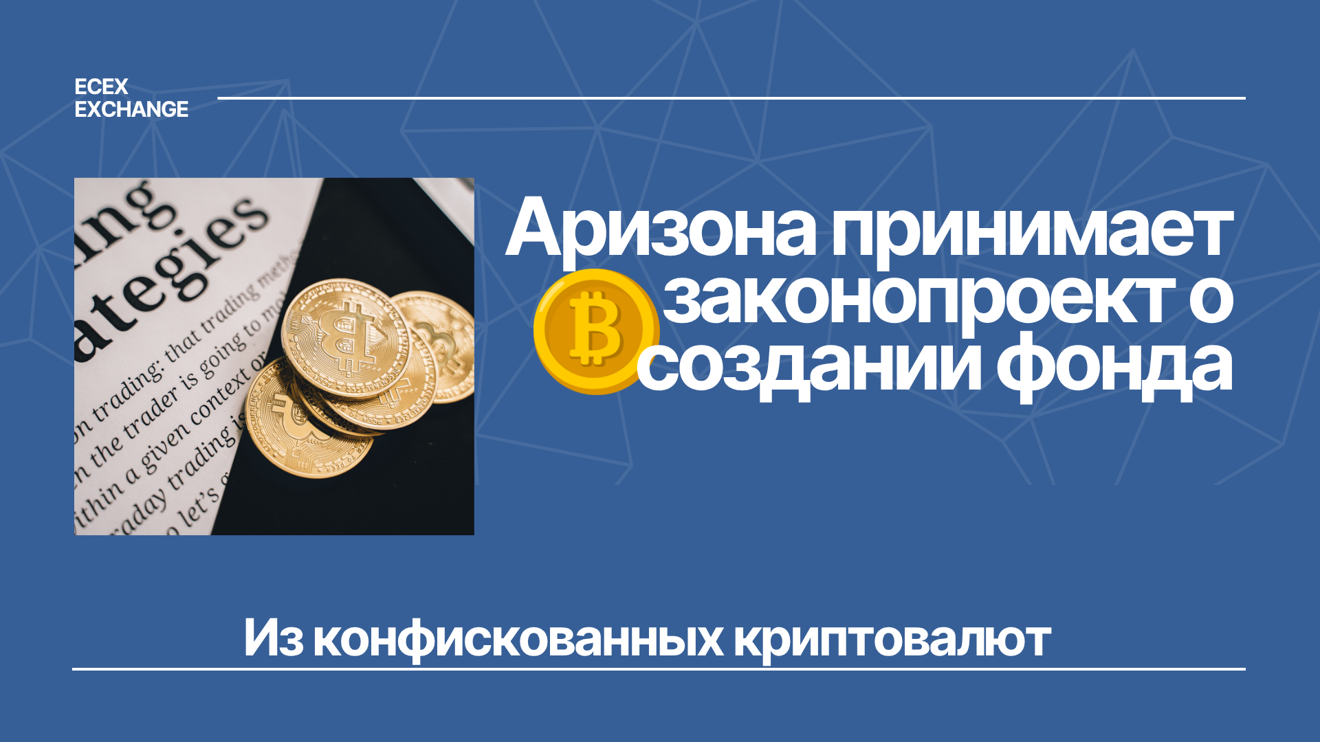 Аризона принимает законопроект о создании фонда в биткоинах из конфискованных криптовалют
