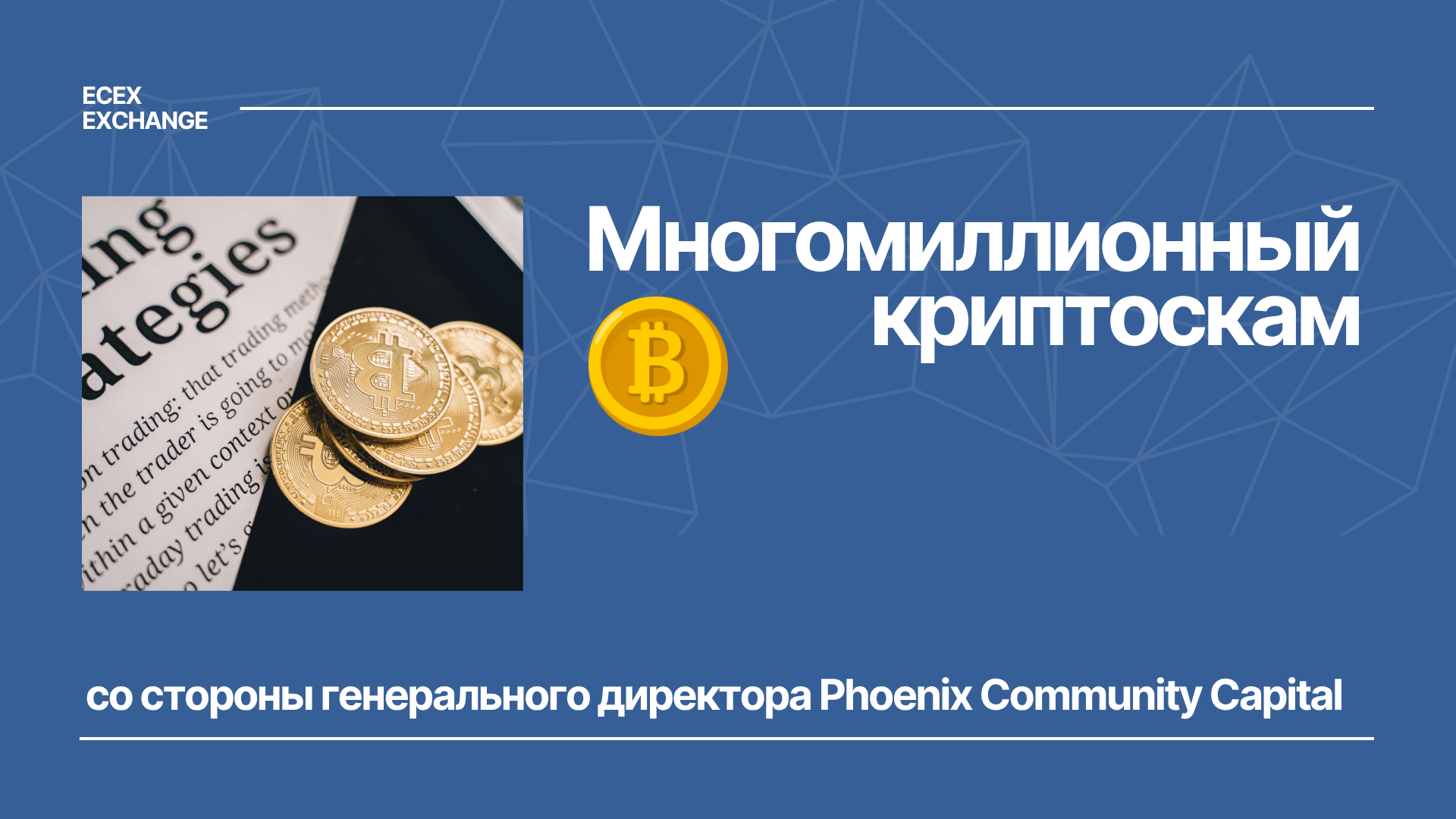 Многомиллионный криптоскам со стороны генерального директора Phoenix Community Capital